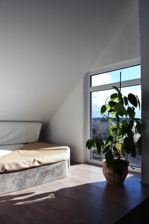 Jurgis Guest House Kaunas Exterior foto